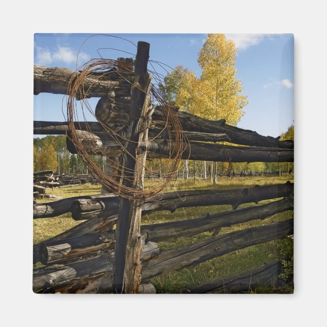 Stacheldraht Magnet (Vorne)