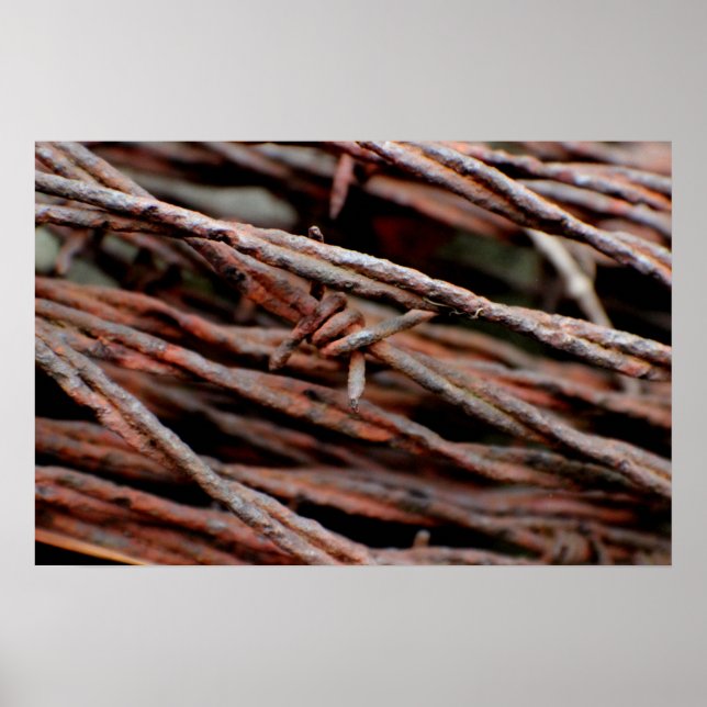 Stacheldraht Poster (Vorne)