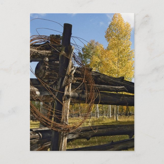 Stacheldraht Postkarte (Vorderseite)