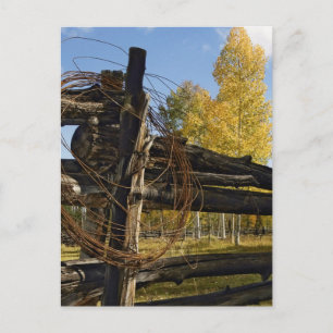 Stacheldraht Postkarte