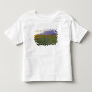 Stacheldrahtzaun in nordöstlichen Montana Kleinkind T-shirt
