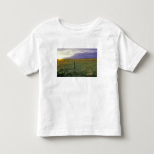 Stacheldrahtzaun in nordöstlichen Montana Kleinkind T-shirt