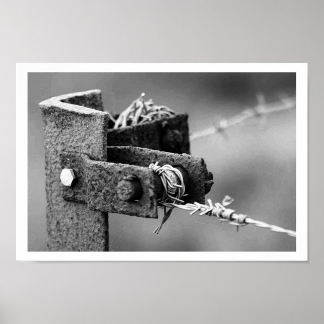 Stacheldrahtzaun Poster (Vorne)
