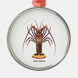 Stacheliger Hummer (asiatisch-pazifisch) Ornament Aus Metall