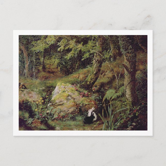 Stacheln Postkarte (Vorderseite)