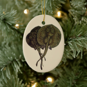 Stachelrochen Stachelrochen, Vintage Meeresleben T Keramik Ornament