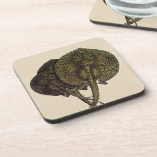Stachelrochen Stingrays, Vintage Meeresleben Tiere Getränkeuntersetzer
