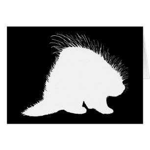 Stachelschwein