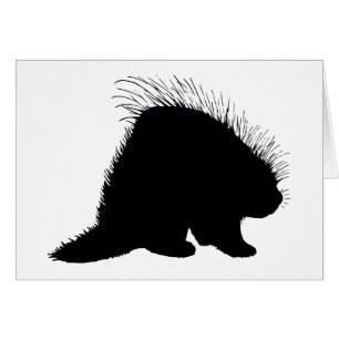 Stachelschwein