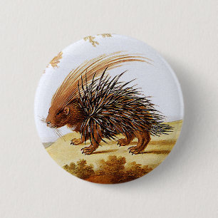 Stachelschwein - Vintage Stachelschwein Gemälde (D Button
