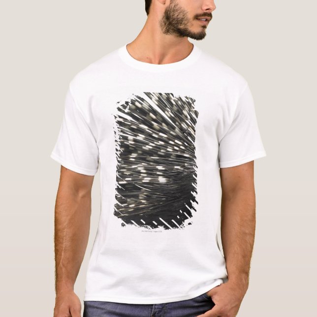 Stachelschweinspulen T-Shirt (Vorderseite)
