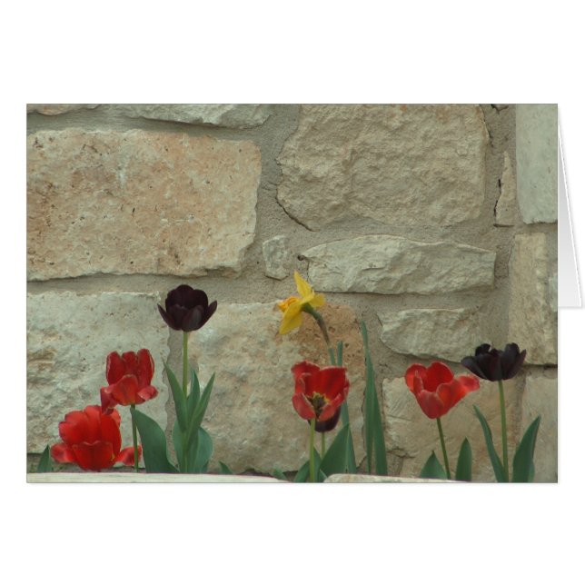 Stadt-Blüte (Vorderseite (Horizontal))