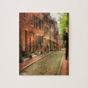 Stadt - Boston MA - Acorn Street Puzzle