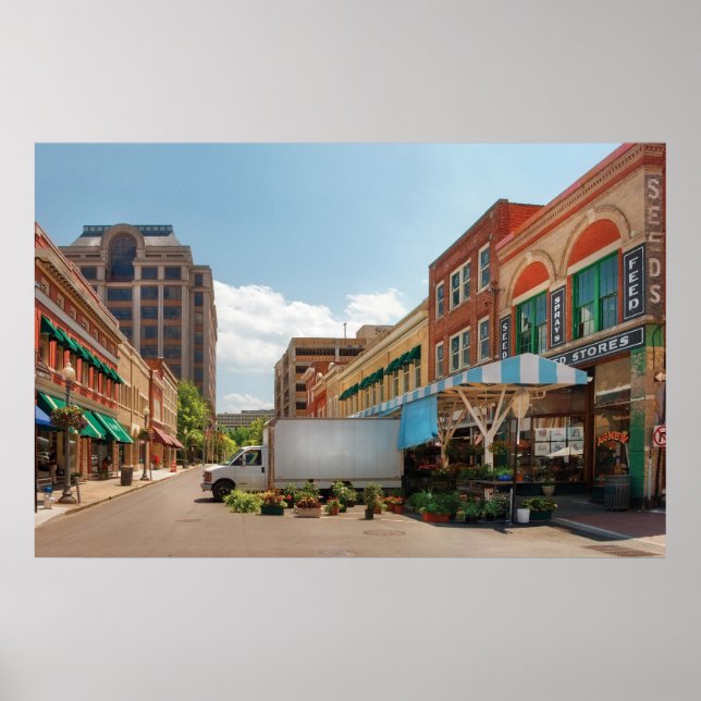 Stadt - Roanoke, VA - der Stadtmarkt Poster (Vorne)