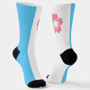 Stadt Salem (Oregon) Socken