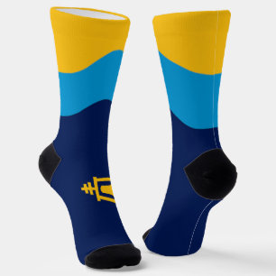 Stadtflagge an der Riverside (Kalifornien) Socken