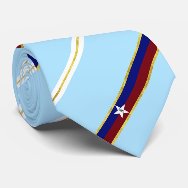Stadtflagge San Antonio Siegel Neck Tie Krawatte (Gerollt)