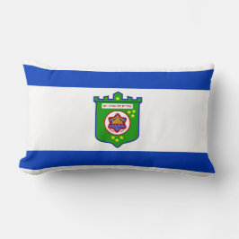 Stadtflagge Tel Aviv (Israel) Lendenkissen