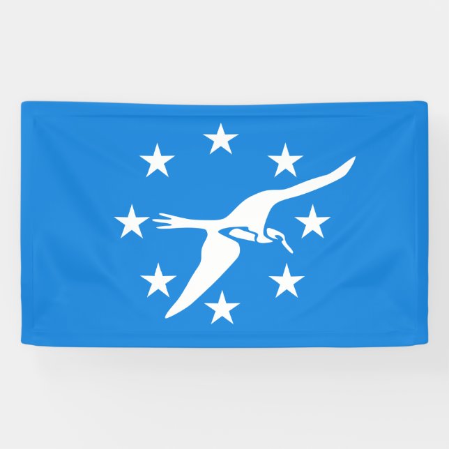 Stadtflagge von Corpus Christi (Texas) Banner (Horizontal)
