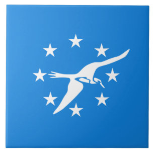 Stadtflagge von Corpus Christi (Texas) Fliese