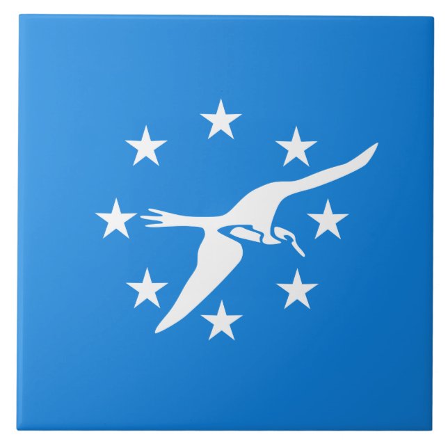 Stadtflagge von Corpus Christi (Texas) Fliese (Vorderseite)