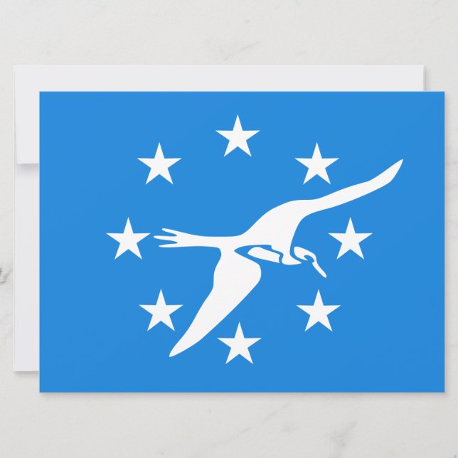 Stadtflagge von Corpus Christi (Texas) Karte (Vorderseite)