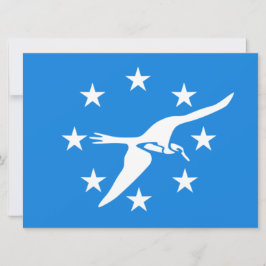 Stadtflagge von Corpus Christi (Texas) Karte