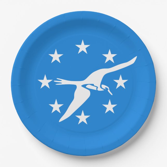 Stadtflagge von Corpus Christi (Texas) Pappteller (Vorderseite)