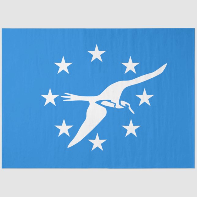 Stadtflagge von Corpus Christi (Texas) Seidenpapier (Vorderseite)