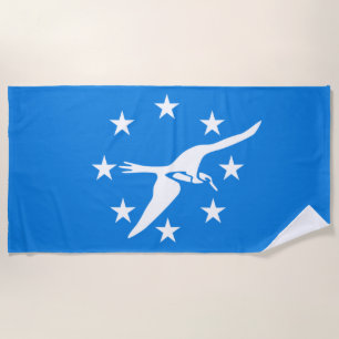Stadtflagge von Corpus Christi (Texas) Strandtuch