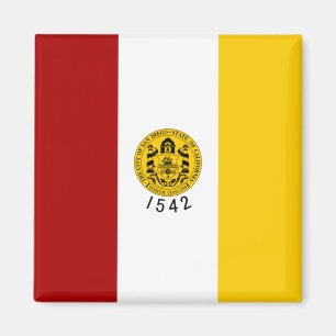 Stadtflagge von San Diego (Kalifornien) Magnet