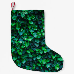 Städtische Dschungelgärtnerei Kleiner Weihnachtsstrumpf
