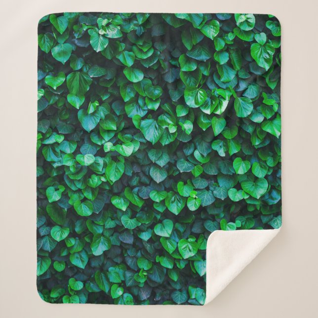 Städtische Dschungelgärtnerei Sherpadecke (Vorderseite)