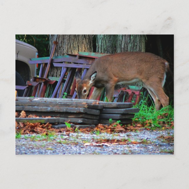 Städtische Integration Postkarte (Vorderseite)