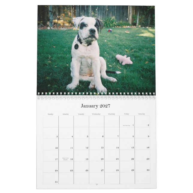 Städtischer Doo Abbruch Kalender (Jan 2027)