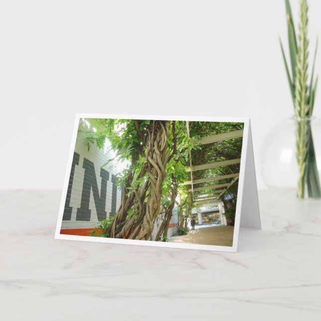 Städtischer Dschungel Karte (Vorderseite)