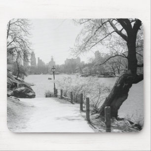 Städtischer Park mit ruhigem See Mousepad