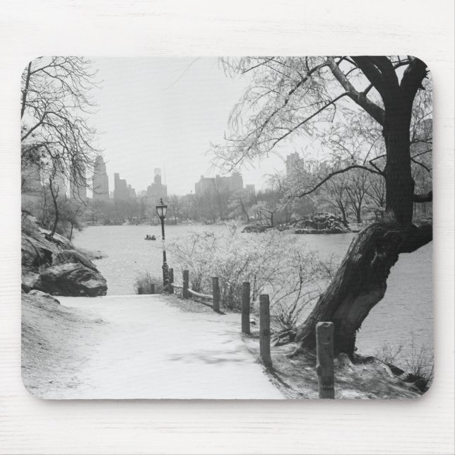 Städtischer Park mit ruhigem See Mousepad (Vorne)