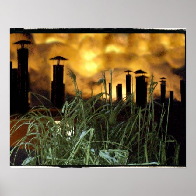 städtisches Gras Poster (Vorne)