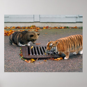 Städtisches waterhole Plakat