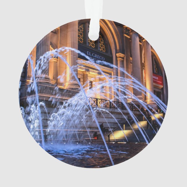 Stadtmuseum des Fotos der Kunst-(GETROFFEN) Ornament (Rückseite)