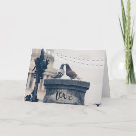 Stadttauben am Valentinstag der Liebe Feiertagskarte