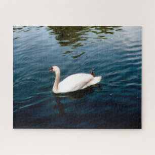 Stadtvogel Puzzle