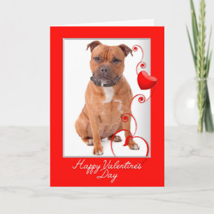 Staffie Valentinstagskarte Karte