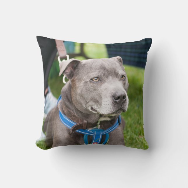 Staffie Wurfs-Kissen Kissen (Vorderseite)