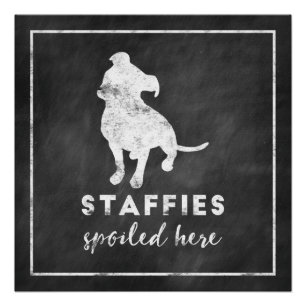Staffies verwöhnt hier Vintage-Schultafel Poster