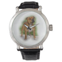 staffordshire bull terer full.png