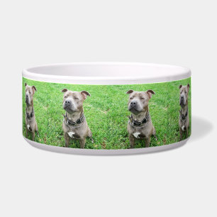 Staffordshire Bull Terrier Achtung: Napf