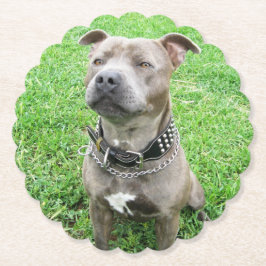 Staffordshire Bull Terrier Achtung: Untersetzer