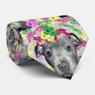 Staffordshire Bull Terrier and Daisies, Krawatte